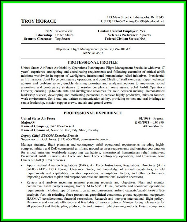government resume writing tips resume resume examples government resume tips