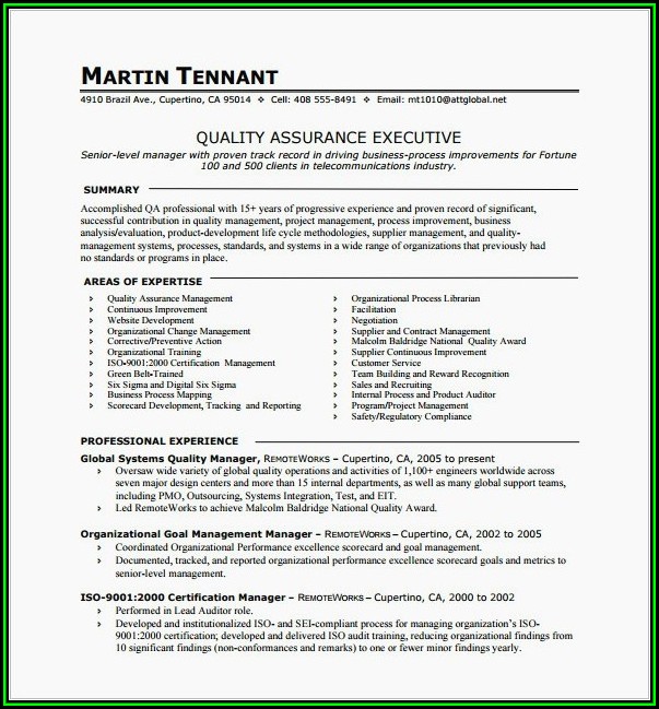 One Page Resume Template For Project Manager One Page Resume Template For Project Manager