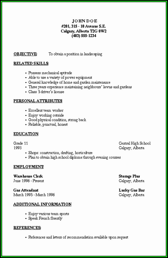Outline For Resume Example Outline For Resume Example