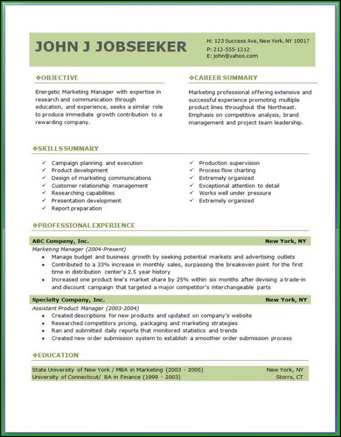 Professional Resume Templates Free Download Professional Resume Templates Free Download