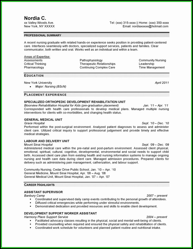 Professional Resume Writing For Nurses Professional Resume Writing For Nurses