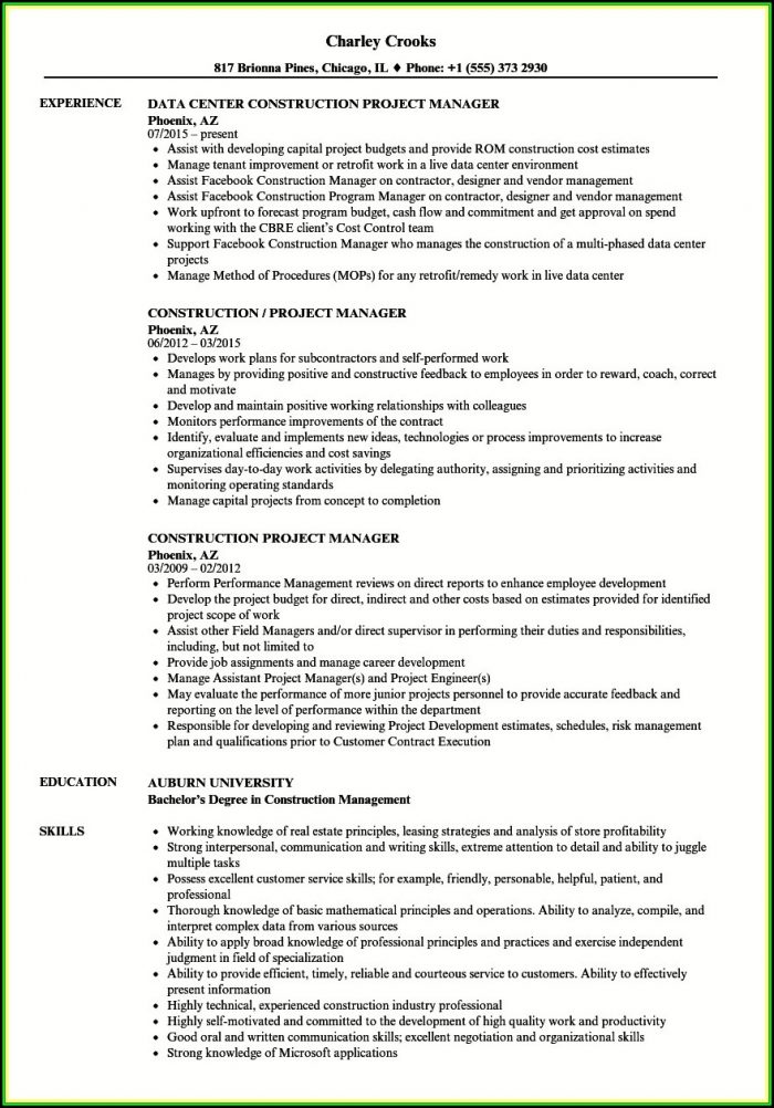 Resume Examples For Project Managers In Construction Resume Examples For Project Managers In Construction