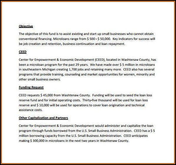Loan Proposal Template Word Loan Proposal Template Word