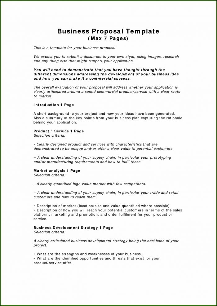 Business Proposal Example Pdf Business Proposal Example Pdf