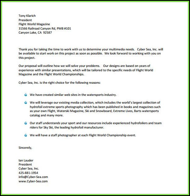 Business Proposal Sample Pdf Business Proposal Sample Pdf