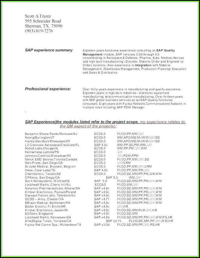 Business Sales Prospectus Template Business Sales Prospectus Template