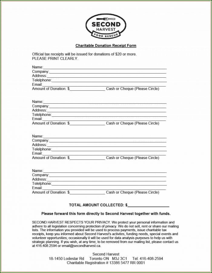 Charity Donation Form Letter Charity Donation Form Letter
