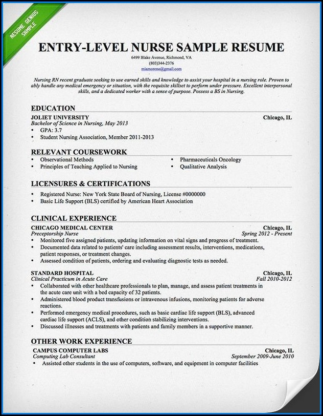 Entry Level Registered Nurse Resume Template Entry Level Registered Nurse Resume Template