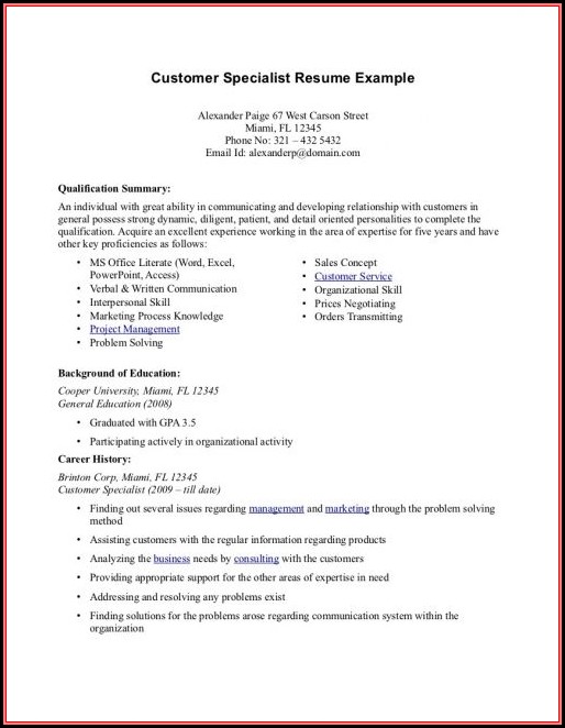 Resume Summary Example For Customer Service Resume Summary Example For Customer Service
