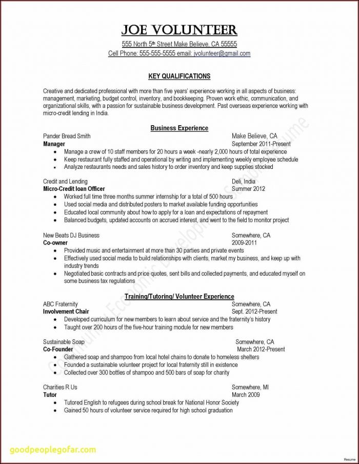 Resume Summary Examples For Project Managers Resume Summary Examples For Project Managers
