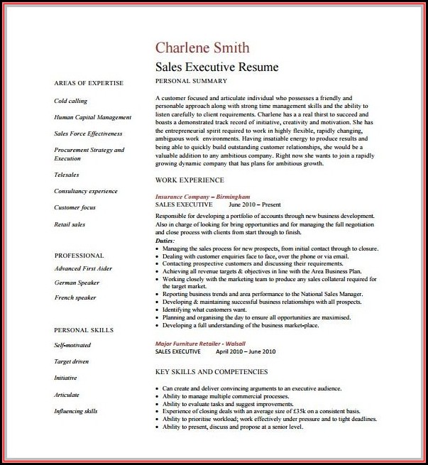 Sales Executive Resume Template Free Sales Executive Resume Template Free