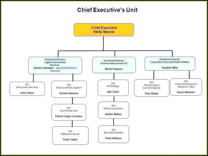 Sample Org Chart Template For Word Sample Org Chart Template For Word