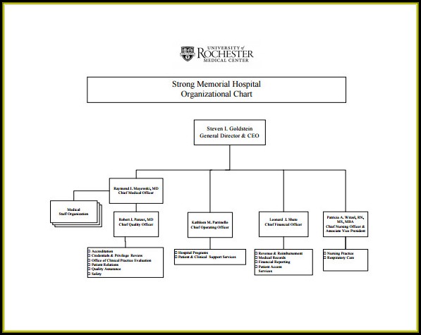 Sample Organizational Chart Template Word Sample Organizational Chart Template Word