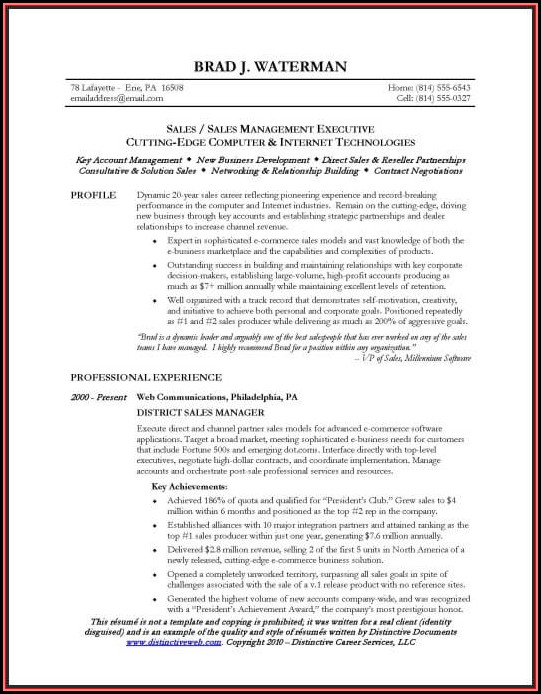 Sample Resume For Sales Executive Sample Resume For Sales Executive