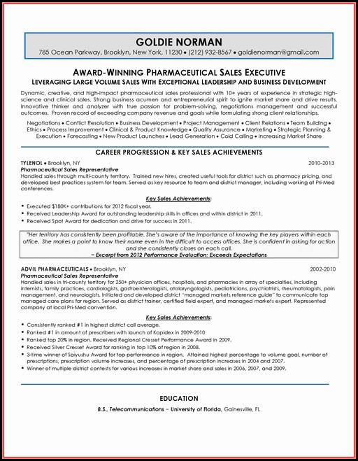 Sample Resumes For Sales Executives Sample Resumes For Sales Executives