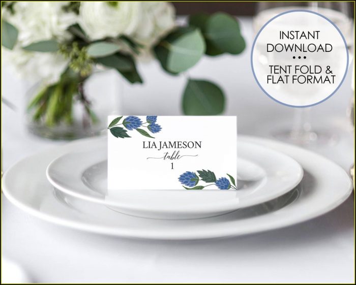Seating Plan Name Cards Template Seating Plan Name Cards Template
