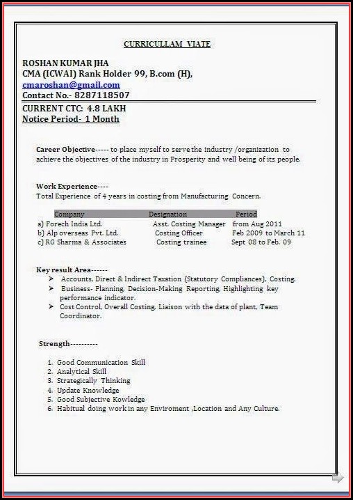 Standard Resume Format Doc Download Standard Resume Format Doc Download