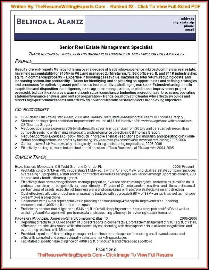 Top Professional Resume Writers Top Professional Resume Writers