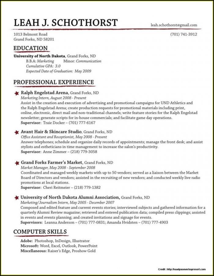 Traditional Resume Template Free Download Traditional Resume Template Free Download