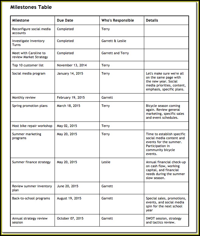 Vehicle Tracking Business Plan Template Vehicle Tracking Business Plan Template