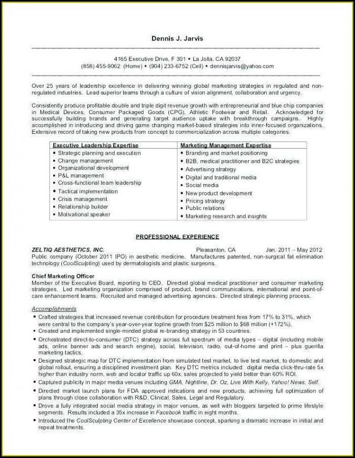 Yahoo Ceo Resume Template Word Yahoo Ceo Resume Template Word