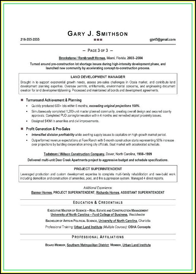 Best Executive Resume Builder Best Executive Resume Builder
