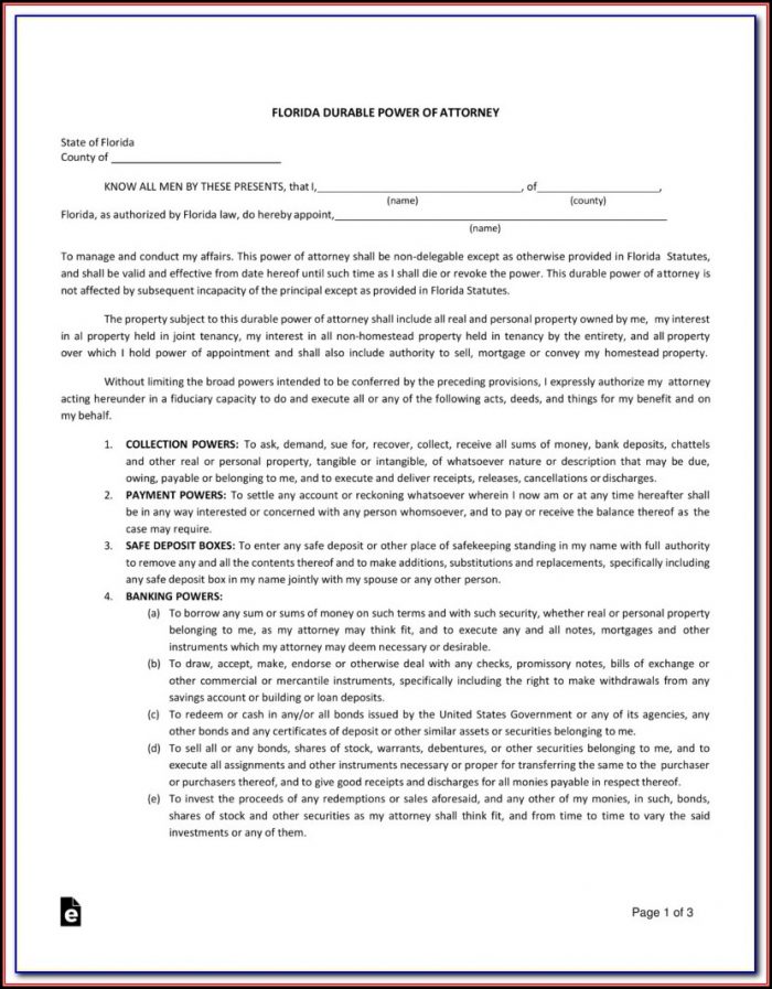 Blank Durable Power Of Attorney Form Florida Blank Durable Power Of Attorney Form Florida