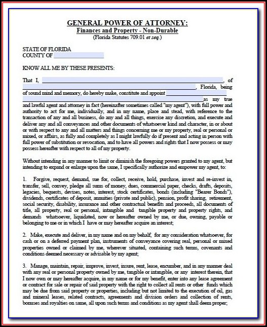 Blank Power Of Attorney Form Florida Blank Power Of Attorney Form Florida