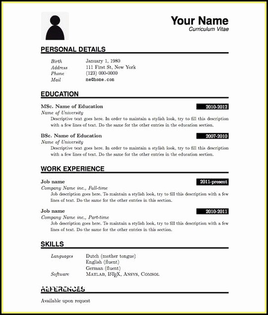 Chronological Resume Format Pdf Chronological Resume Format Pdf