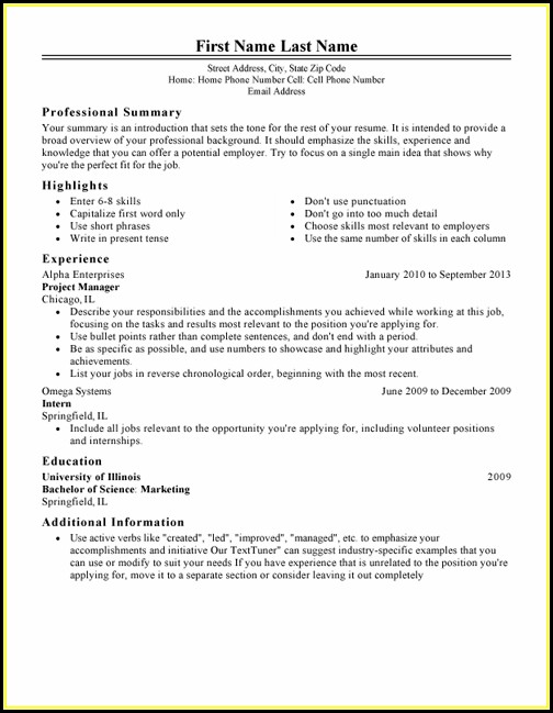 Classic Resume Template Word Classic Resume Template Word
