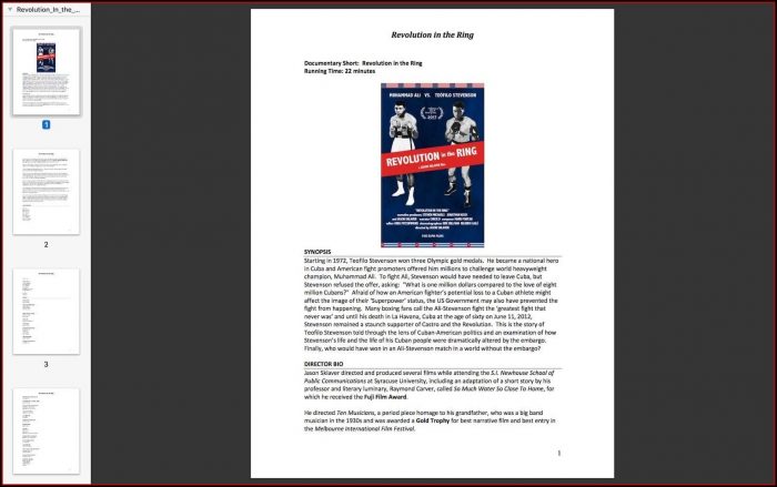 Band Electronic Press Kit Template Band Electronic Press Kit Template