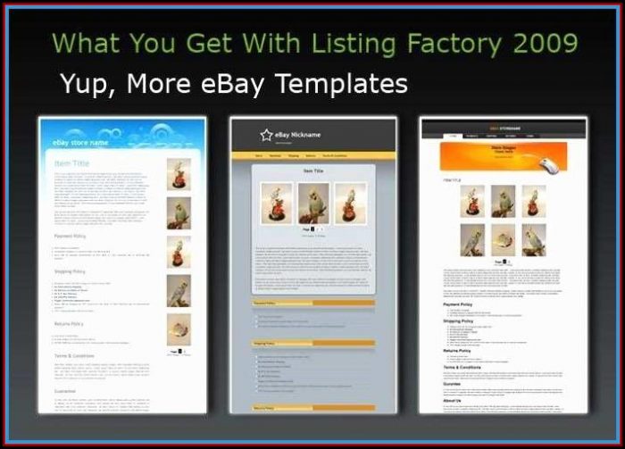 Best Ebay Seller Templates Best Ebay Seller Templates