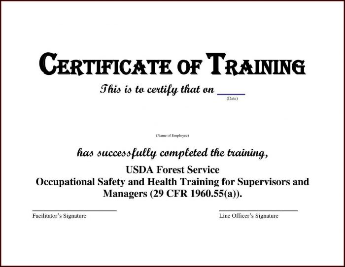Bloodborne Pathogens Certificate Template Bloodborne Pathogens Certificate Template