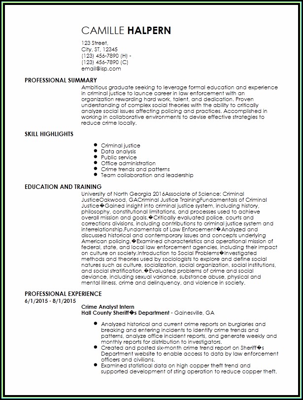 Free Entry Level Resume Template Free Entry Level Resume Template