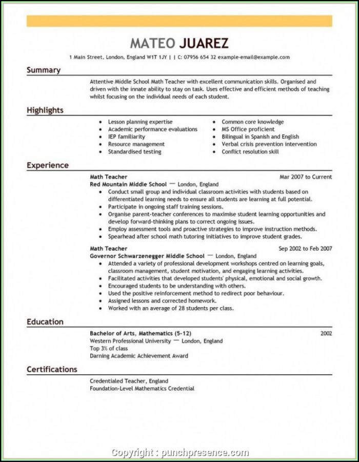 Free Printable Professional Resume Builder Free Printable Professional Resume Builder
