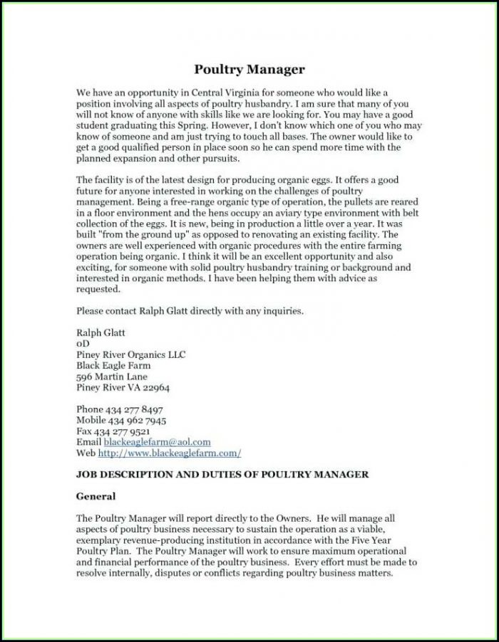 Free Resume Templates For Real Estate Agents Free Resume Templates For Real Estate Agents