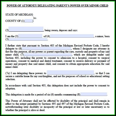 Guardianship Power Of Attorney Form Guardianship Power Of Attorney Form