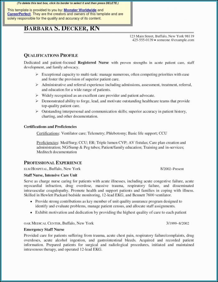 Med Surg Rn Resume Template Med Surg Rn Resume Template
