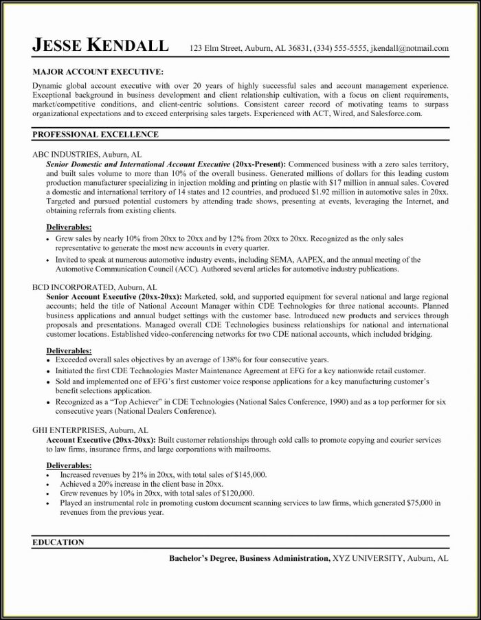 Resumes For Executives Examples Resumes For Executives Examples