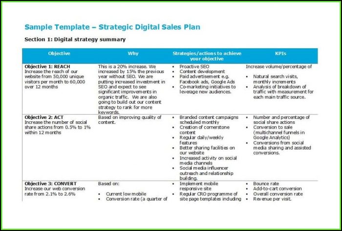 Sales Territory Plan Template Word Sales Territory Plan Template Word