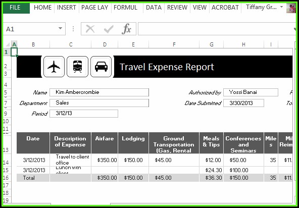 Travel Expense Report Template Excel Travel Expense Report Template Excel