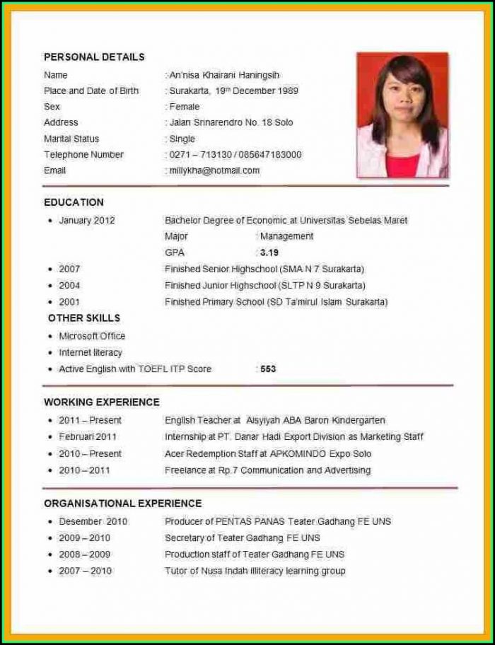 Example For Curriculum Vitae Example For Curriculum Vitae