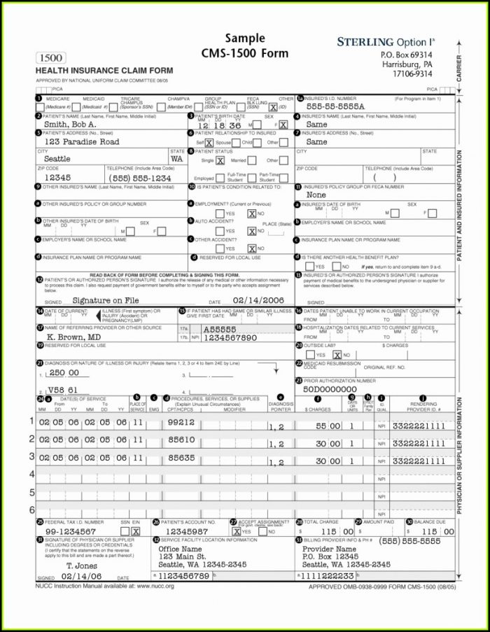 Sample Hcfa 1500 Claim Form Instructions Sample Hcfa 1500 Claim Form Instructions