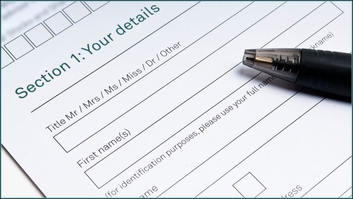 Application For A Vietnamese Visa Form Application For A Vietnamese Visa Form