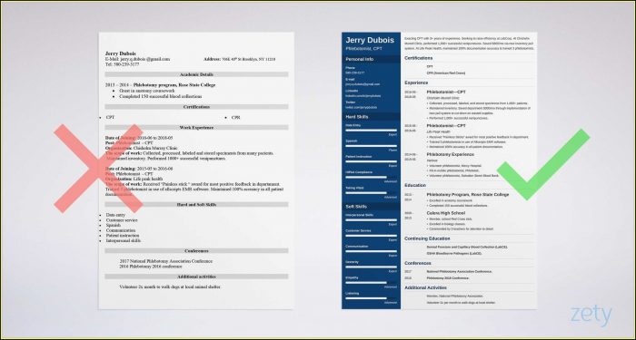 Best Resume Templates For Executives Best Resume Templates For Executives