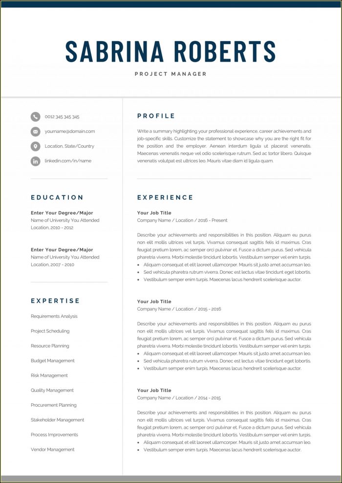 Director Resume Template Word Director Resume Template Word