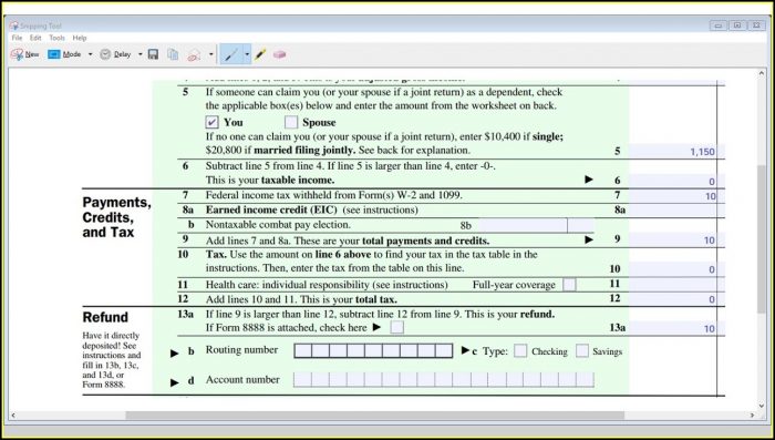 Federal Income Tax Form 1040ez 2017 Federal Income Tax Form 1040ez 2017