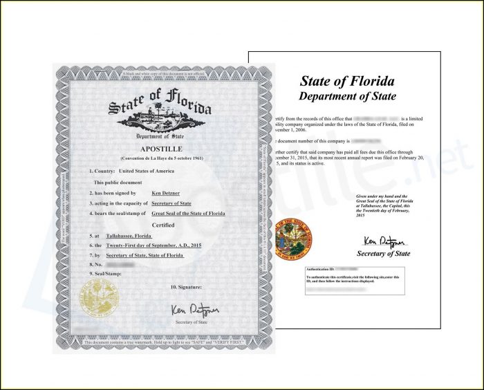 Florida Department Of State Apostille Form Florida Department Of State Apostille Form