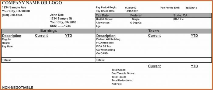Free Pay Stub Template Word Free Pay Stub Template Word