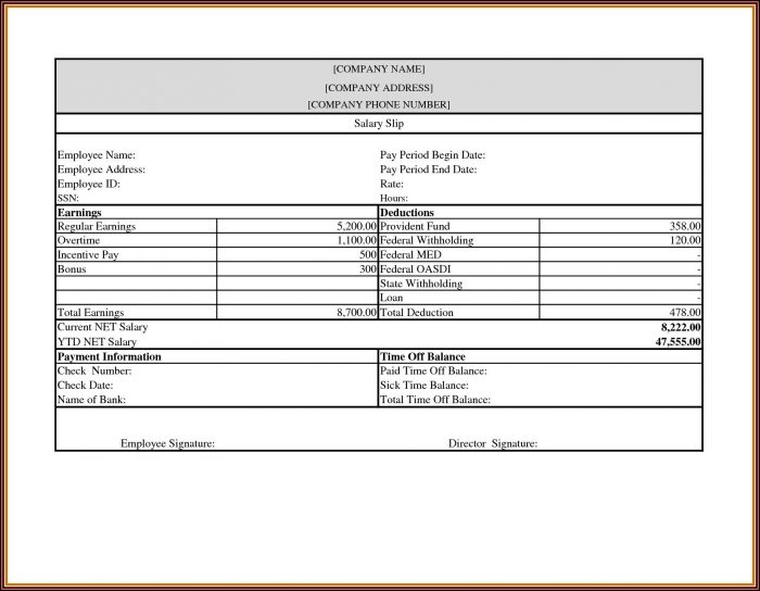 Free Pay Stub Template Word Document Free Pay Stub Template Word Document